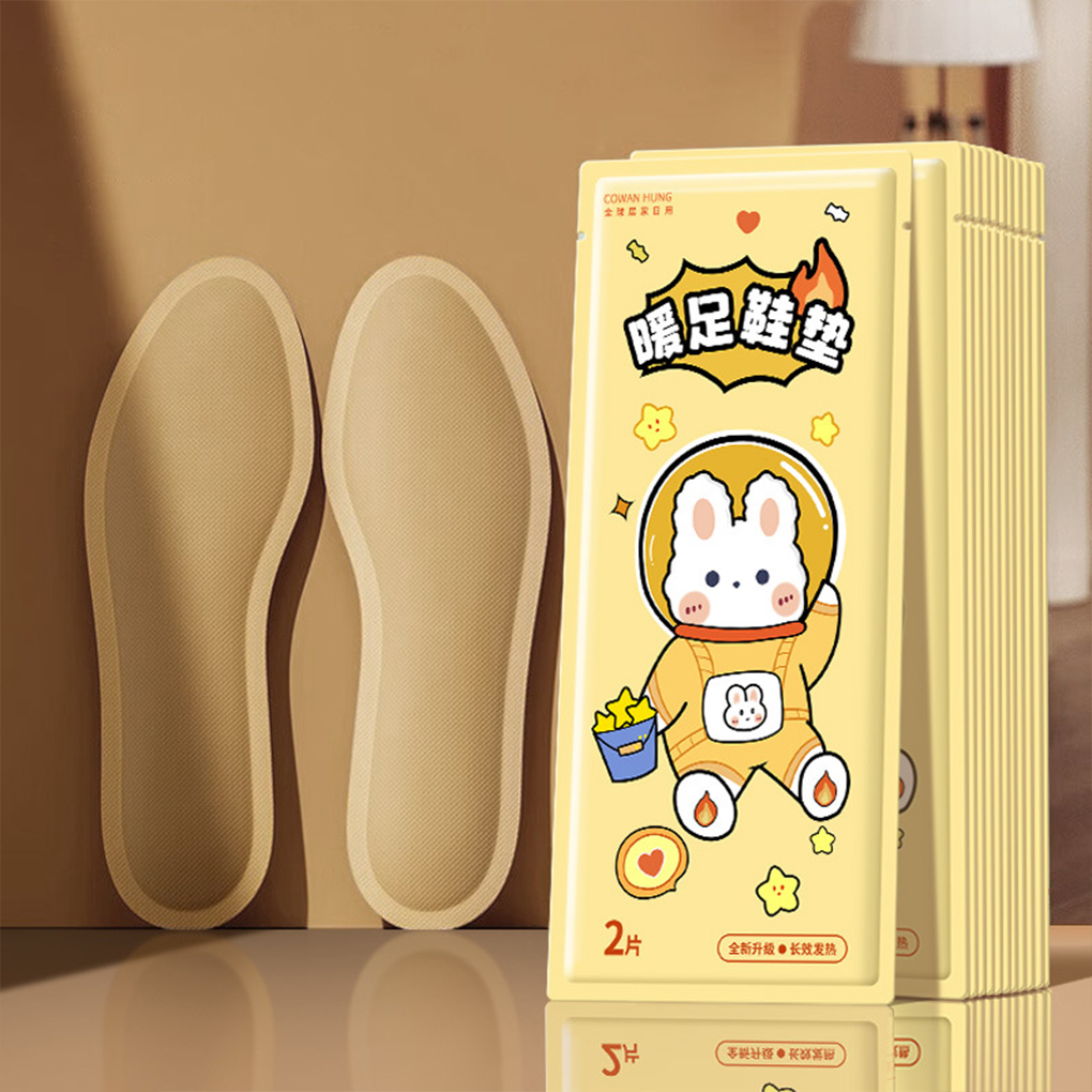 One-time Foot Warmer Heated In - Heated Insole Rechargeable review and price